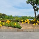 달음산자연휴양림 이미지