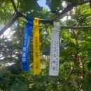 토평마을회관 | 잘래기산(235m).작은용골산(263m).용골산(344m).함박정산(287).덕암봉(254m).똥뫼산(102m)/경북 청도, 화양