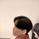 휴먼가발