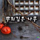 멋쟁이남대리 | [ 순천여행 / 뿌리깊은나무 ] 순천시립 뿌리깊은나무 박물관