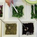 채식이네 이미지