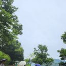 RE:7월교칠등산모임 봉무공원내 단산지 산책로를 걷다. 이미지