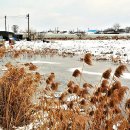 안도현농장 이미지