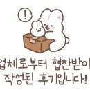 더카이트21 이미지