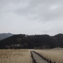 콩마실 이미지