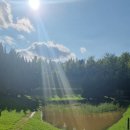 그린샷스크린골프연습장 이미지