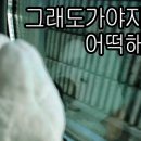 이디야커피청주 네이버블로그