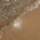 왕산숯불 | 인천 을왕리 왕산해수욕장 바다 물놀이 왕산오토캠핑장 바베큐 캠핑여행