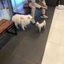 365동물병원위례점 이미지