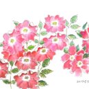 카페블루밍 - 성남시 분당구 운중로 128 | 카페블루밍