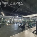 웰빙스포렉스 이미지