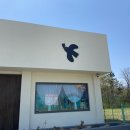 옐로우송버드 이미지