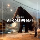 전곡선사박물관 | 전곡선사 박물관 아이들과 매머드 보고 온 후기