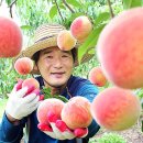 월봉농장 이미지