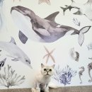 모들펫살롱 이미지