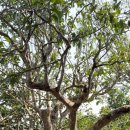 (주)단주 이미지