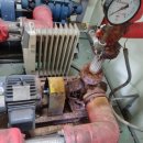 가나무로 이미지