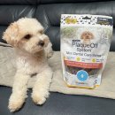 덴탈24 | [신기펫케어] 프로덴 플라그오프 덴탈케어본 미니 피넛버터&amp;베이컨