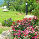 해피트리펜션 이미지