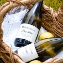 베스트 인 쇼 이미지