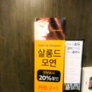살롱드모연