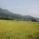 수철경로당 이미지