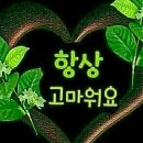 힐링노래짱 이미지