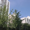 주공아파트 네이버블로그