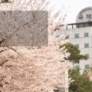 광신대학교 사회복지대학원 이미지