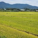 압해공인중개사사무소 이미지