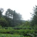 두일보건진료소 이미지