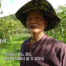 용흥리마을회관 | 고향민국 행복이 주렁주렁 용천마을 위치! 감 농사, 장동석 최현숙 부부