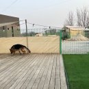 개두방정 이미지