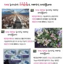 내천농장 이미지