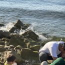 이수도산만디민박 이미지