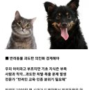 요즘에 이미지