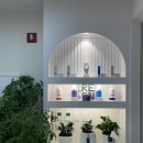 던킨도너츠 세종나성점 | [세종 나성동] 세종두피관리, 스칼프리온 나성점 셀피어스 후기