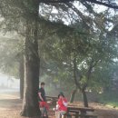 청리중학교 이미지