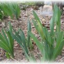 예쁜새싹어린이집 이미지