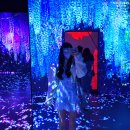 양지헤어스케치 | 제주 아르떼뮤지엄 :: 실내에서 펼쳐진 빛의 향연!