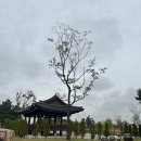 문이공원 화장실 | 오래 걷기 좋은 곳 화성시 공원 매향리 평화 생태공원(애견동반 가능)
