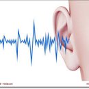 고운소리난청보청기센터 이미지