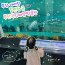 부산 아이와 가볼만한 곳 영도 부산국립해양박물관 실내 관람 후기