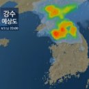 내가 가장 예뻤을때(주말) | 시 필사 ❤ 오래 속삭여도 좋을 이야기