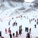 오투리조트오투스키장 국토일보
