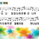 담장너머로뻗은나무