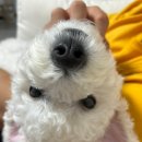 아람동물의료센터 이미지