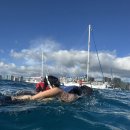 이인기 | ★ 미국 // 하와이 [후기 6000개가 증명하는 하와이 No.1] 거북이 스노클링 + 5종 해양 액티비티...