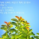 행복가득