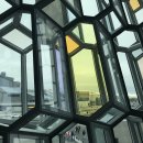 ＜2026＞7/1 아이슬란드 트레킹[10일] 이미지